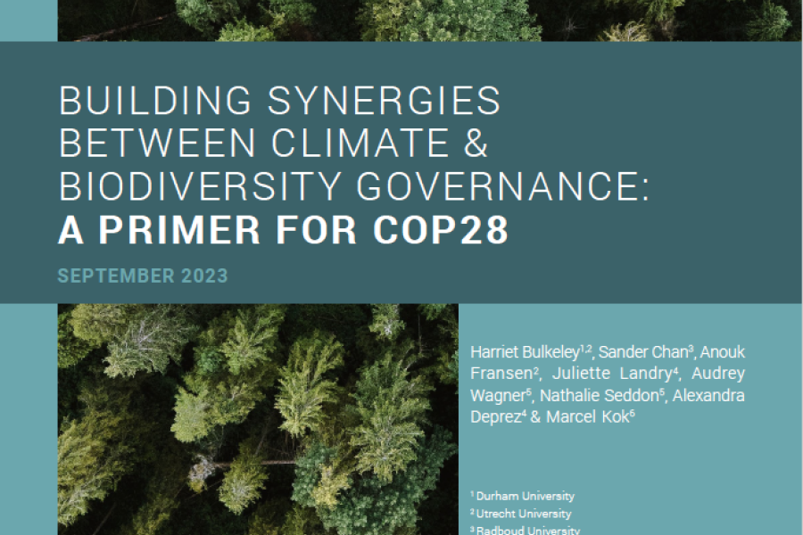 Building Synergies Between Climate And Biodiversity Governance: A ...